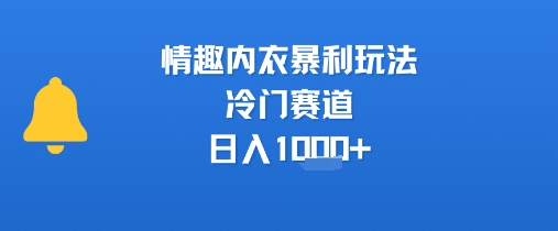 揭秘冷门情趣内衣暴利玩法，日入1k+-网赚项目资源库
