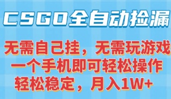 CSGO自动捡漏项目：手机操作，新手月入1W+，独家玩法揭秘-网赚项目资源库