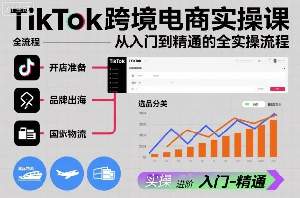 TikTok跨境电商入门到精通实操课程-网赚项目资源库