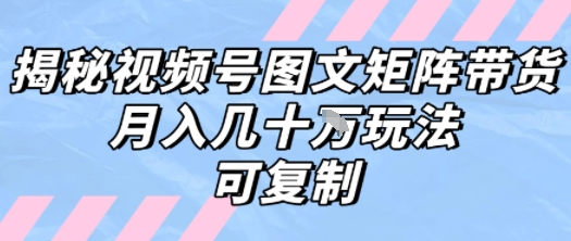 揭秘视频号图文矩阵带货月入数W的秘诀,可复制策略-网赚项目资源库