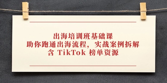 出海培训班基础课程：掌握出海流程，实战案例解析，TikTok榜单资源分享-网赚项目资源库