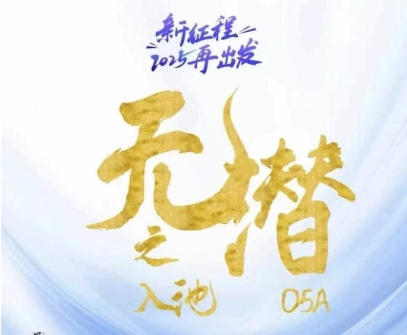 2025年全域入池关键技巧：无潜不起方法论，全程干货分享-网赚项目资源库