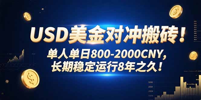 USD对冲搬砖：单日收益800-2000元，长期稳定运营8年-网赚项目资源库
